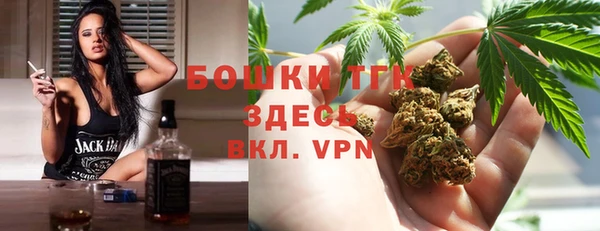 тгк Костерёво