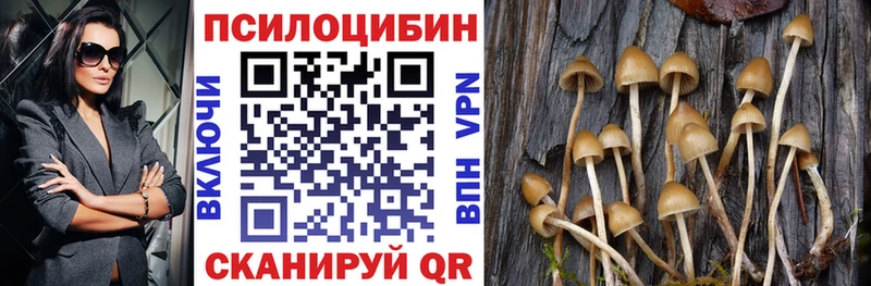 Галлюциногенные грибы Cubensis мега как зайти Чайковский